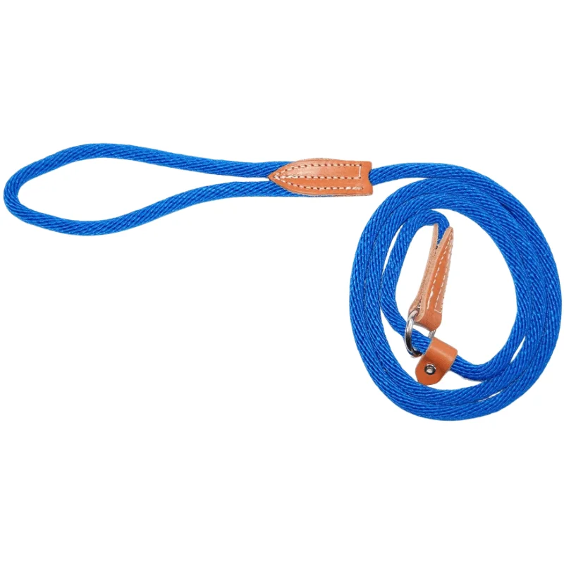 Dog Leash - Quick Walker/ London Leads - Blue - 3/8" × 72"