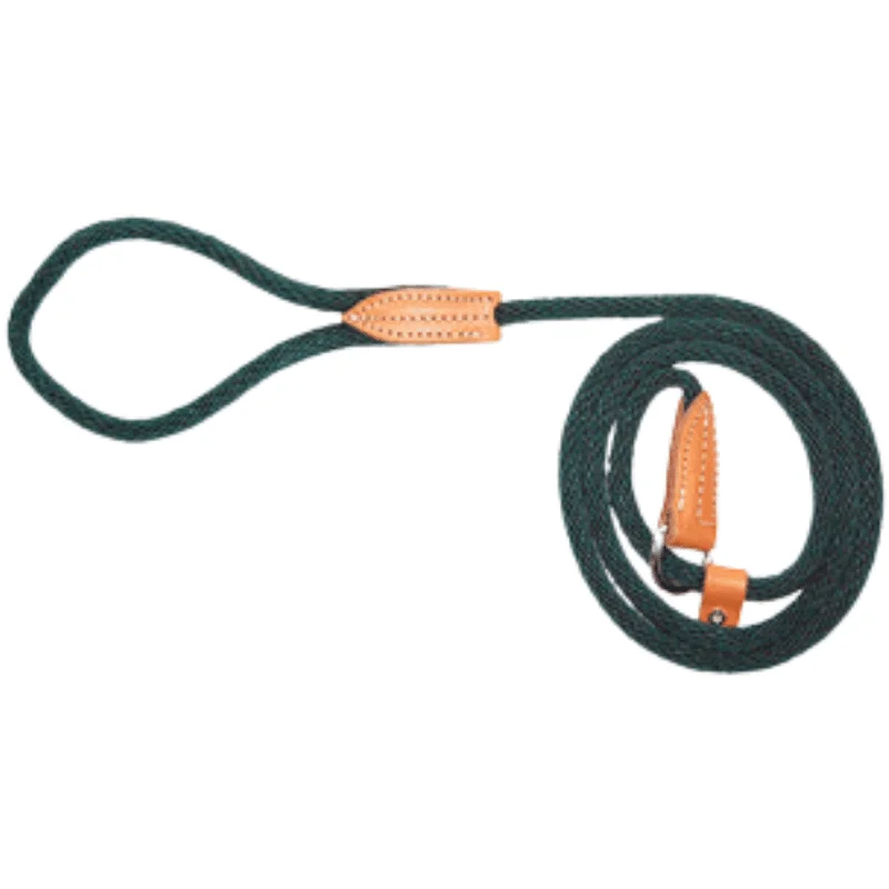 Dog Leash - Quick Walker/ London Leads - Dark Green - 3/8" × 72"