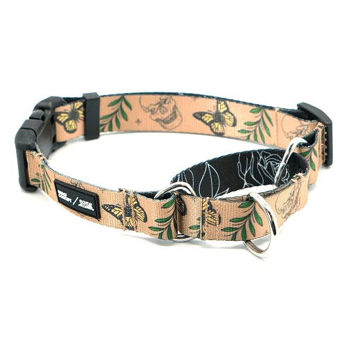 Martingale Collar - IKONIC COLLECTION - Sleestak X Woof Concept