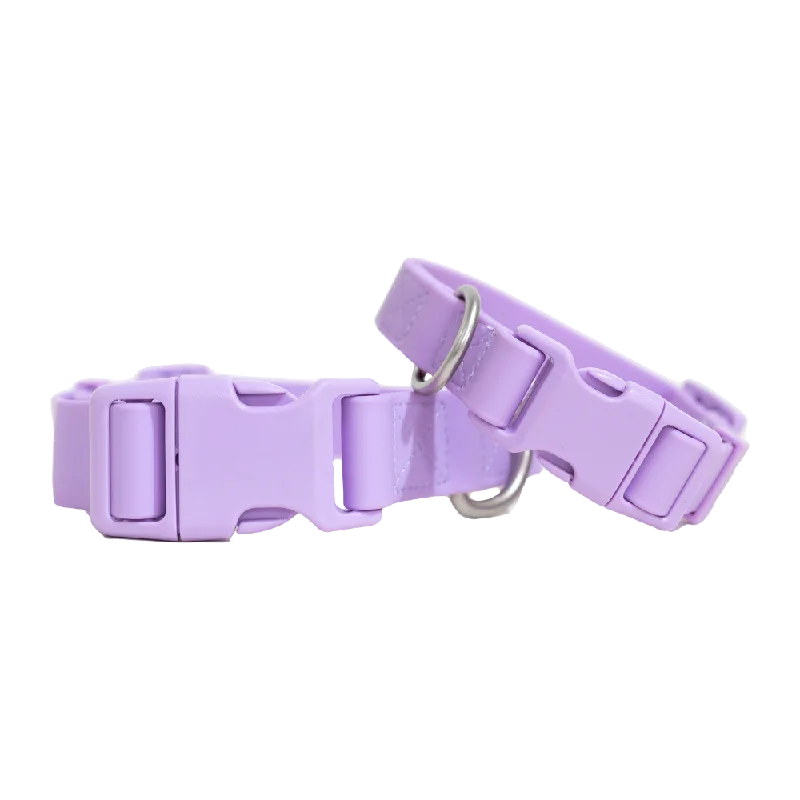 Springer Waterproof  Dog Collar | Lilac