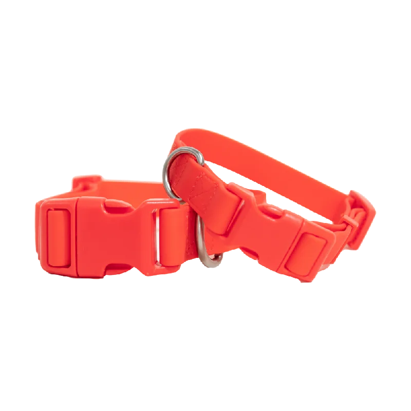 Springer Waterproof  Dog Collar | Poppy