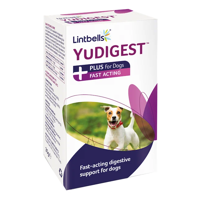 Lintbells Yudigest Dog Plus